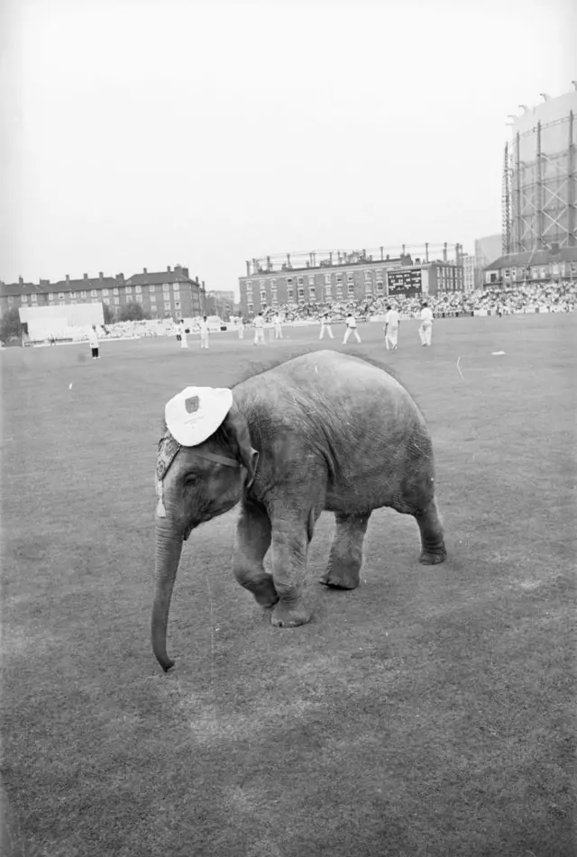 இந்தியா- இங்கிலாந்து ஓவல் டெஸ்ட் கிரிக்கெட்