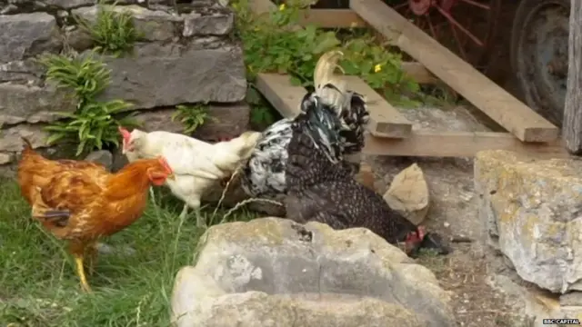 स्पेन के एस्टुरियस में पहाड़ों के बीच बसे गांव