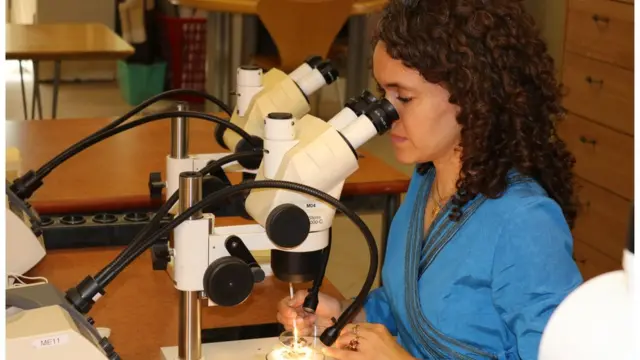 د.منّة الله الدرّي