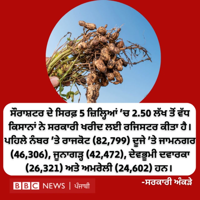 ਮੂੰਗਫਲੀ