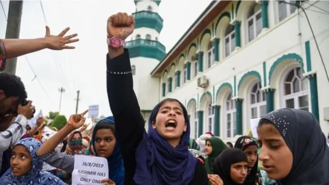 ৩৭০ ধারা বাতিলের প্রতিবাদে কাশ্মীরে বিক্ষোভ