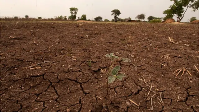 నీరు లేక బీడువారిన పొలం