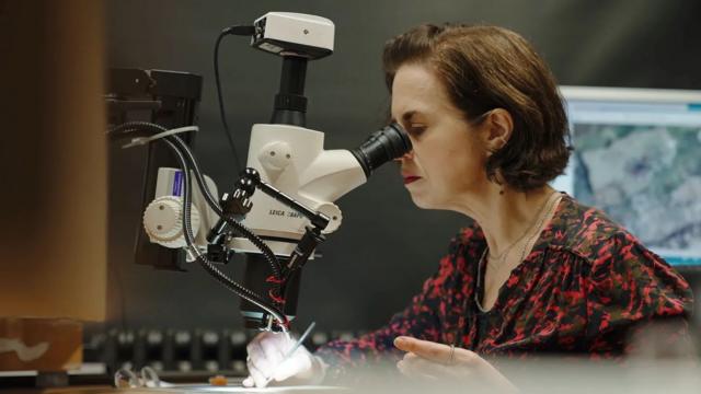 Jilleen Nadolny, una destacada experta en el análisis técnico del arte, examina el supuesto cuadro de El Lissitzky, propiedad de Beatrice Gimpel, que considera falso. 