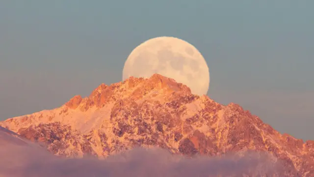 ابرماه «سگ آبی»‌ نوامبرامسال در ایتالیا