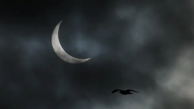 یک مرغ دریایی در حال پرواز مقابل هلال خورشید در آسمان ابری «نوک» پایتخت گرینلند