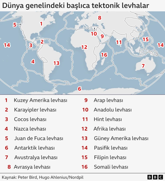 Bir BBC grafiği, ana tektonik plakaları bir dünya haritası üzerinde gösteriyor.