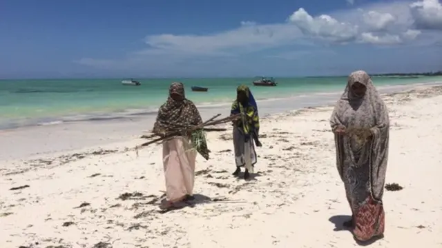 Wanawake Zanzibar
