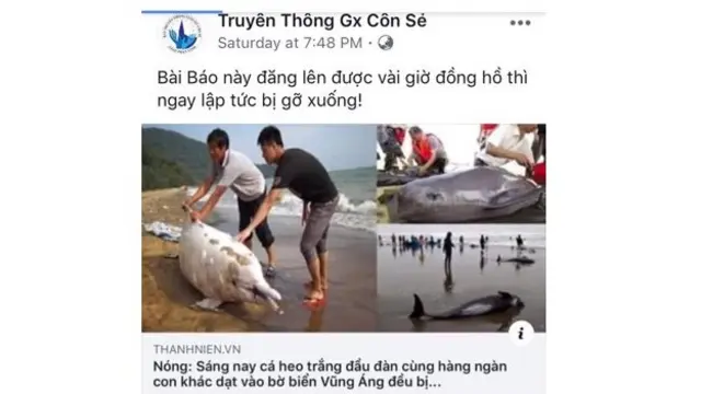 Formosa, Việt Nam, môi trường