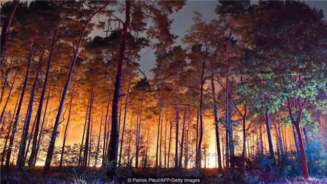 德国消防队员最近在距离柏林仅50公里的森林大火中奋战。科学家担心，这样的火灾会越来越多。