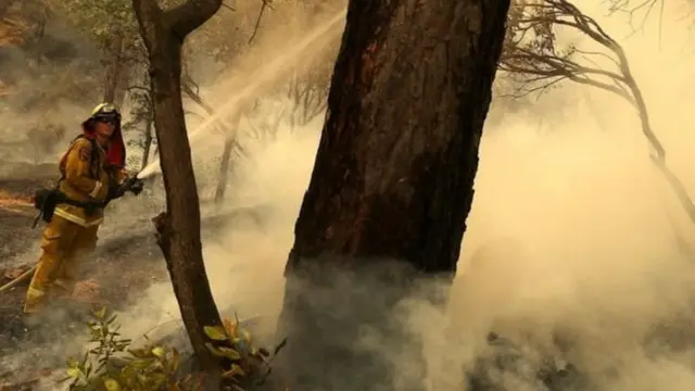 பரவும் காட்டுத்தீ