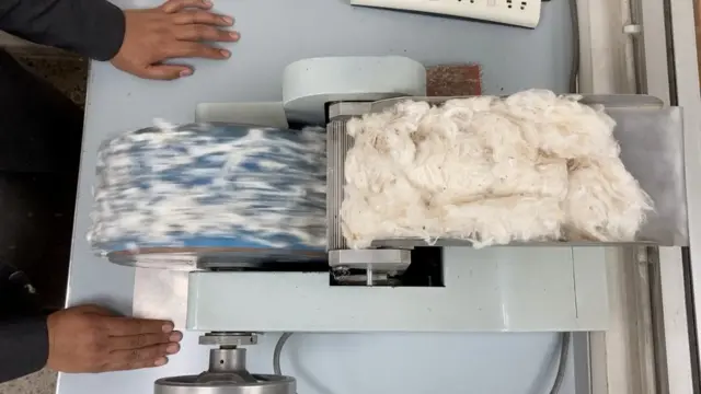 بھنگ کی جینز