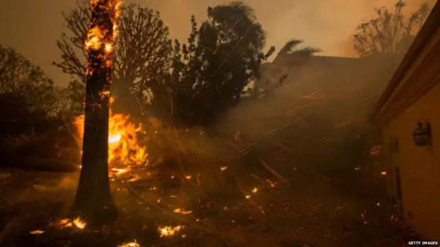 ਕੈਲੀਫੋਰਨੀਆਂ ਦੇ ਜੰਗਲਾਂ 'ਚ ਅੱਗ