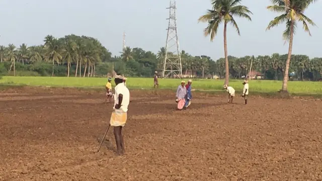 லட்சக்கணக்கான விவசாயத் தொழிலாளர்கள் இந்த ஆண்டு வேலையில்லாமல் தவித்து வருகிறார்கள்.