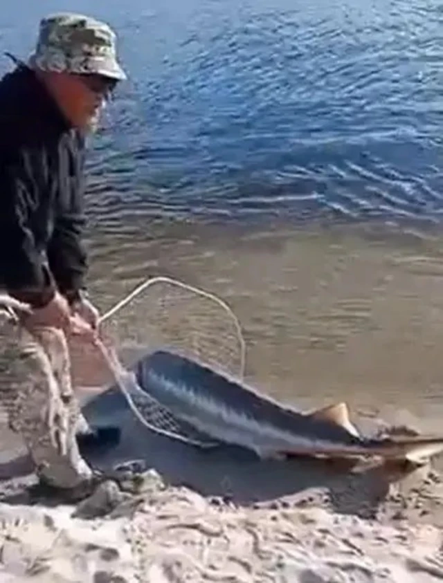 Человек с сачком, в котором лежит большая рыба