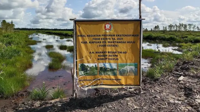Lokasi lahan sawah cetak baru (ekstensifikasi) di Desa Mantangai Hulu, Kapuas, dalam program food estate. 