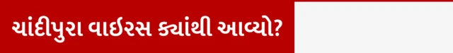 ચાંદીપુરા વાઇરસ ક્યાંથી આવ્યો?