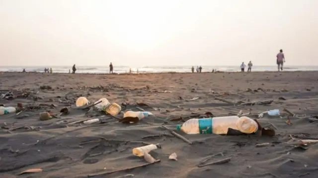 प्लास्टिक बाटल्या 