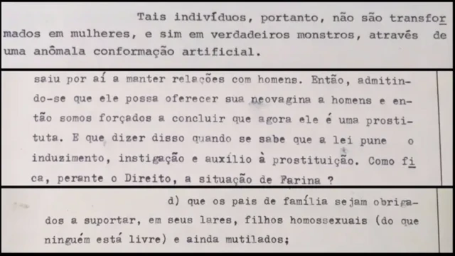 'Monstro', 'prostituta', 'doente mental', 'mutilado', 'eunuco', 'bichinha' foram algumas das palavras usadas pelo Ministério Público paulista para se referir a Waldirene no processo contra Farina