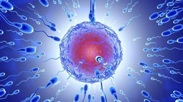 प्रातिनिधिक फोटो