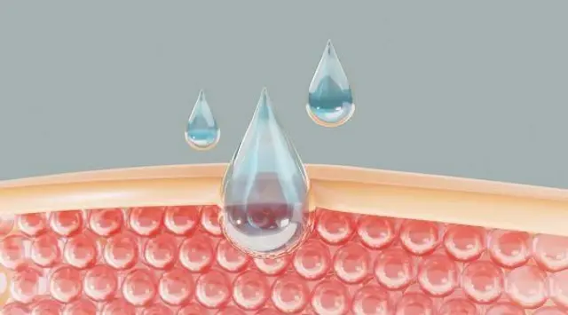 त्वचेचे थर 