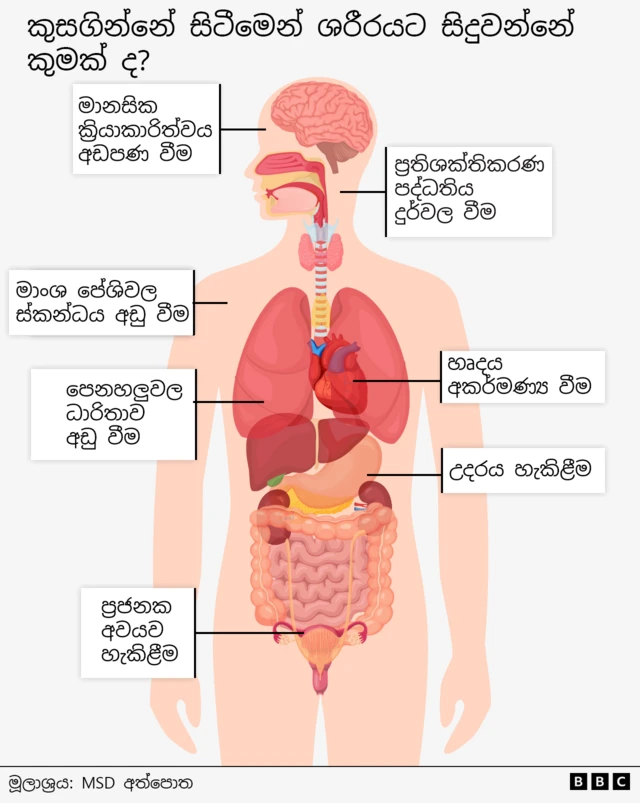 The long term effects of going hungry