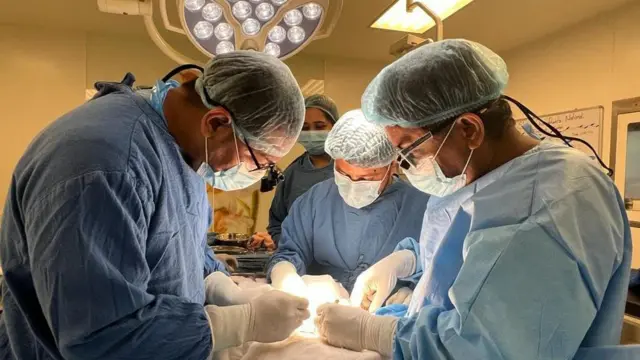 अङ्ग प्रत्यारोपण गर्दै चिकित्सकहरू