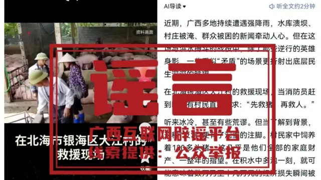 마을 주민들이 구조대원들에게 사람보다 돼지를 먼저 구조해달라고 했다는 내용