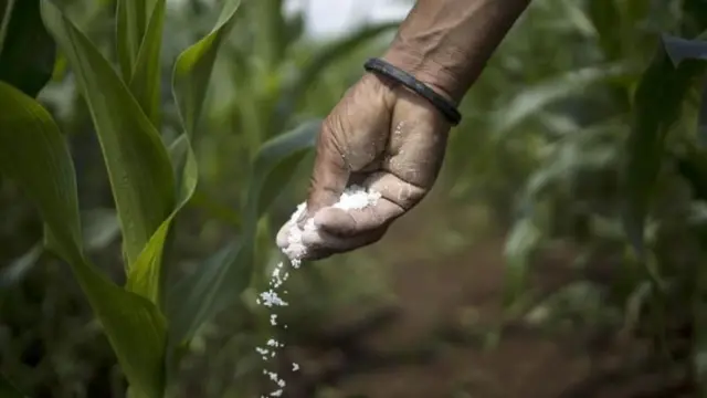 બોગસ બિયારણ, ગુજરાત, મહારાષ્ટ્ર, ખેડૂતોને નુકસાન 