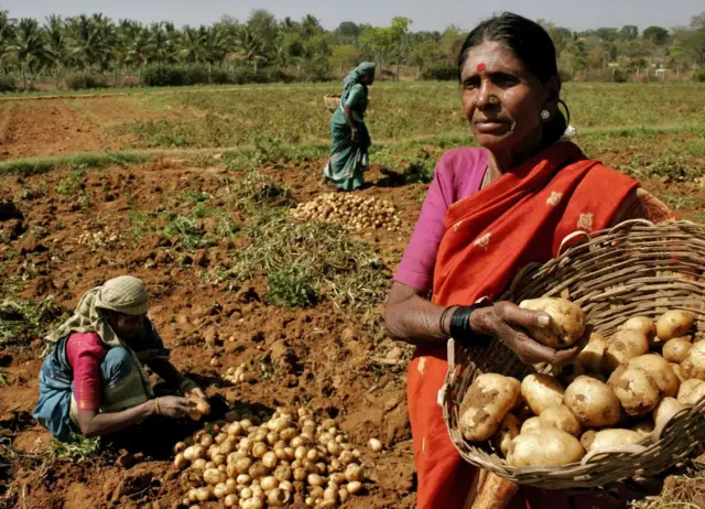 प्रातिनिधिक फोटो