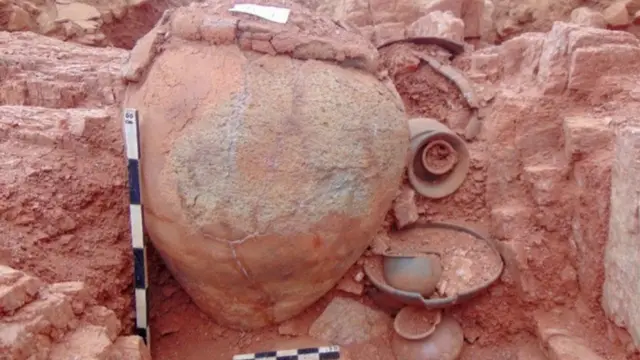 கீழடியில் கிடைத்த நுண்கற்கால கருவிகளும் எரிந்த நெல் மணிகளும்