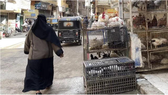 Scène de vie : des poules en cages au bord d'une rue occupée par des voitures et une passante de dos