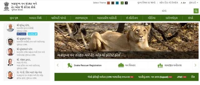 બીબીસી ગુજરાતી, ગુજરાત, એશિયાટિક સિંહ, બીબીસી, સિંહ, સિંહની ગણતરી