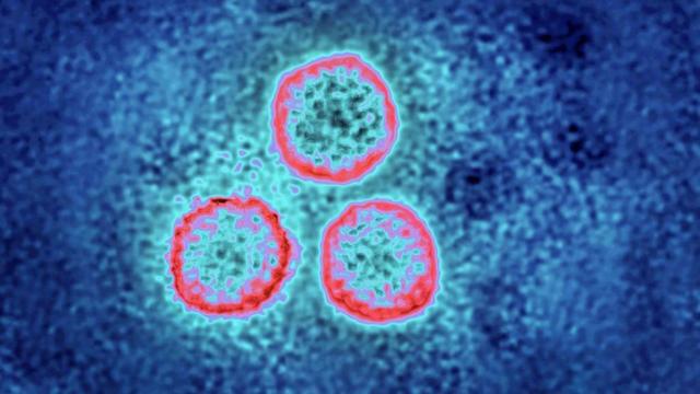 Рак шейки матки: почему он возникает и можно ли защититься с помощью ...
