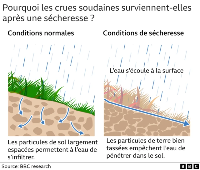 Graphique montrant les causes des crues soudaines