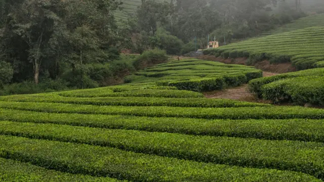 மதுரையை சுற்றி 'மிஸ்' செய்யக்கூடாத ஐந்து சுற்றுலா தலங்கள்