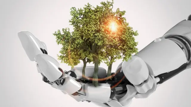 ናይ ሮቦት ኢድ