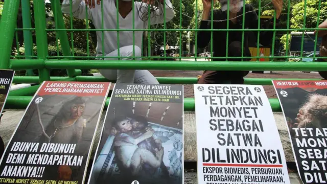 Masih ada cara agar satwa tidak menjadi hewan uji laboratorium.