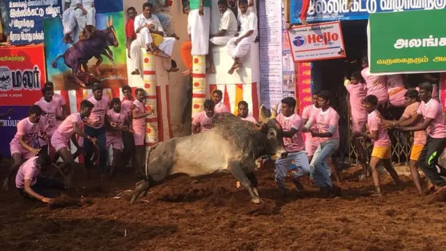 வாடிவாசலில் இருந்து வெளியேறிய காளையை பிடிக்க முயலும் இளைஞர்கள்