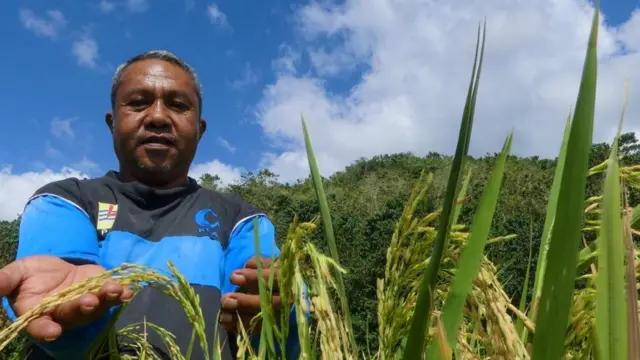 covid-19, petani, bansos, virus corona, resesi