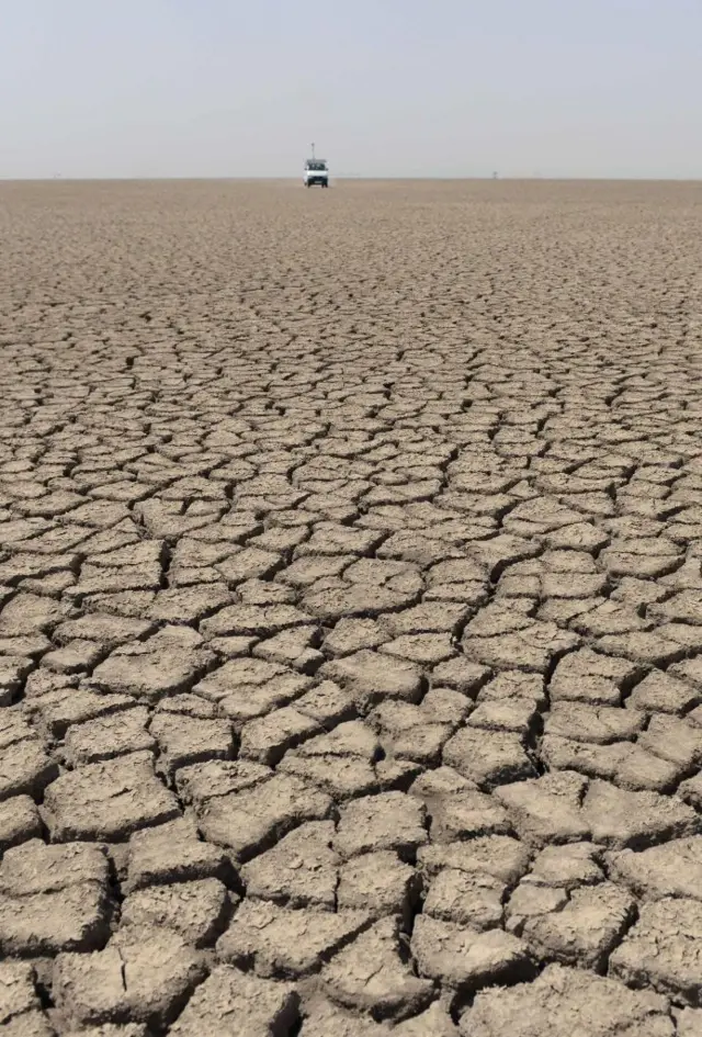 ਕੱਛ ਦਾ ਰਣ