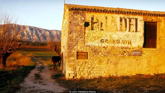 旅行，法国，普罗旺斯，艺术，文化，塞尚