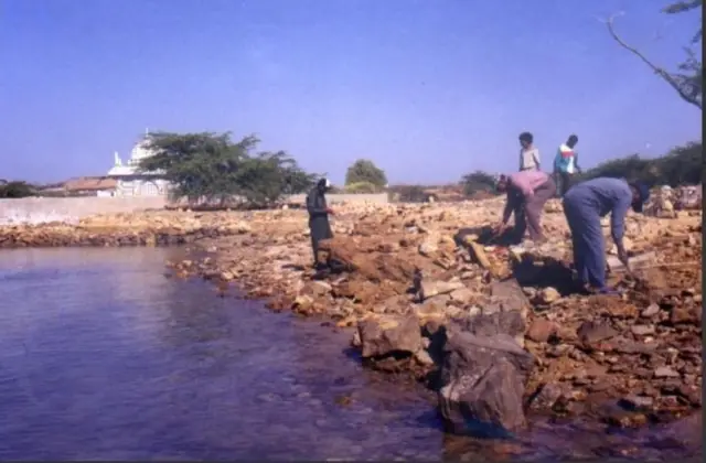 பெட்-துவாரகா, கிருஷ்ணர், அகழாய்வு 