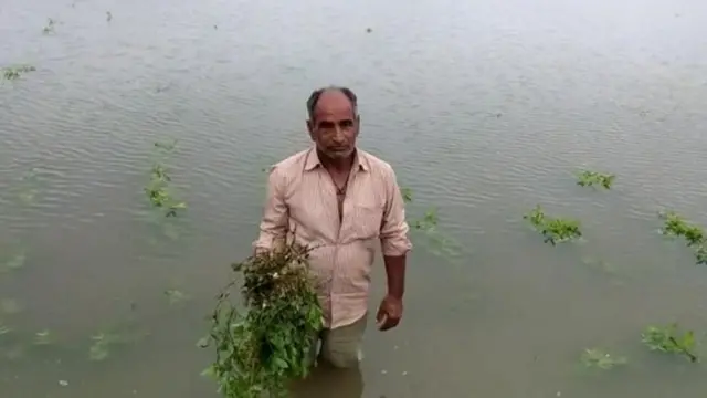 ખેડૂતોને અતિવૃષ્ટિ ભારે પડી?