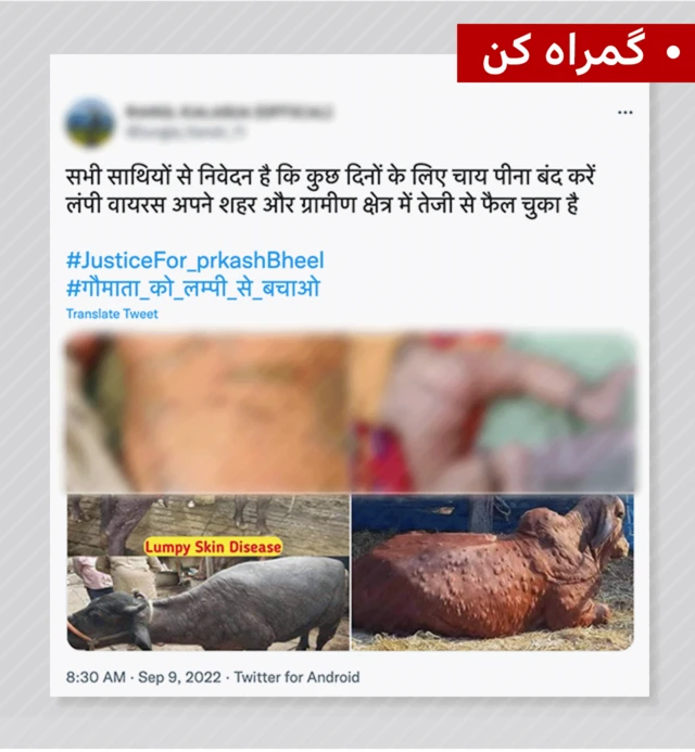 ٹویٹ