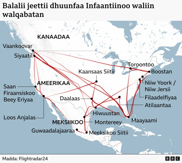Balalii Infaantiinoo