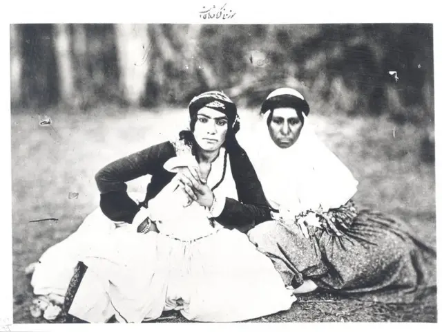 عکس‌های منتشر شده از آلبوم قاجاری کاخ گلستان