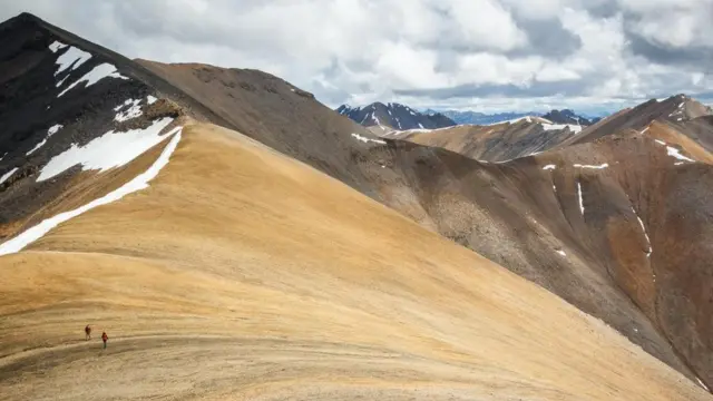 （图片来源：Vivien Cumming）