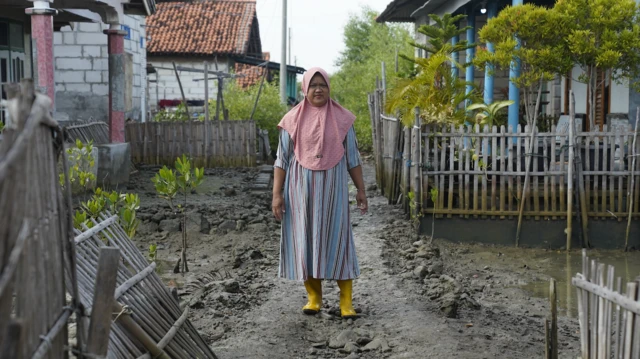 banjir rob, pesisir utara jawa, pantura, indramayu, eretan wetan 
