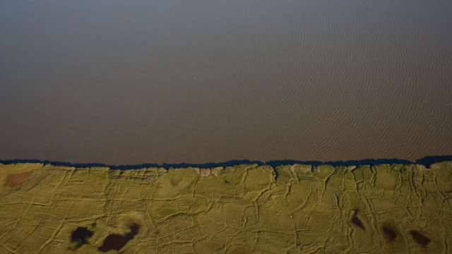 کول ویل دریا