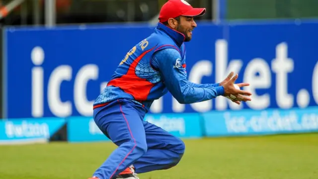 شفیق الله شفق